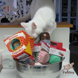 Picture of cat and baking supplies