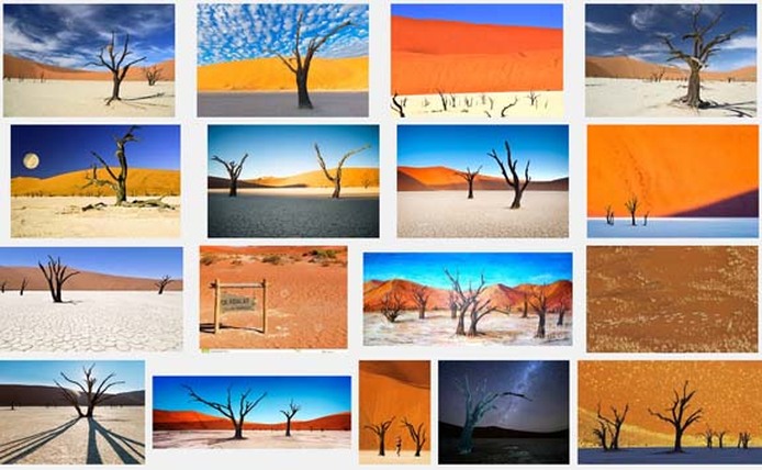 Screen capture of Google image search for Deadvlei