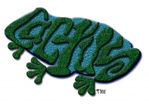 Cactus Frog Logo