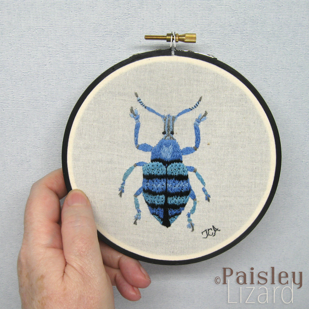 Embroidery hoop with blue banded snout weevil stitched on cotton fabric.