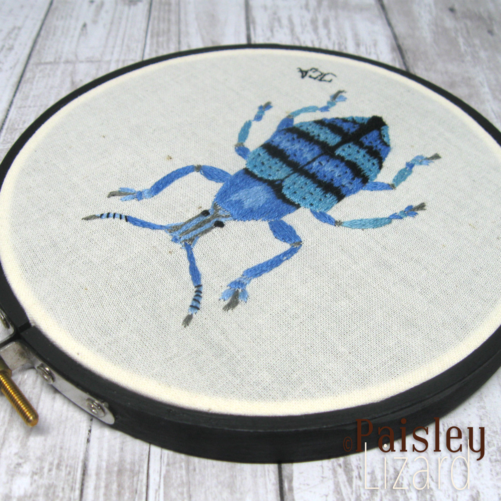Embroidery hoop with blue banded snout weevil stitched on cotton fabric.